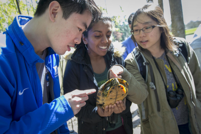Students holding and observing a turtle.