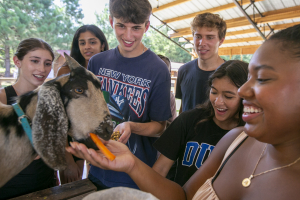 students feeding goat