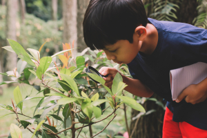 child looking at plant with magnifying glass 